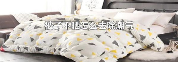 被子不晒怎么去除潮气