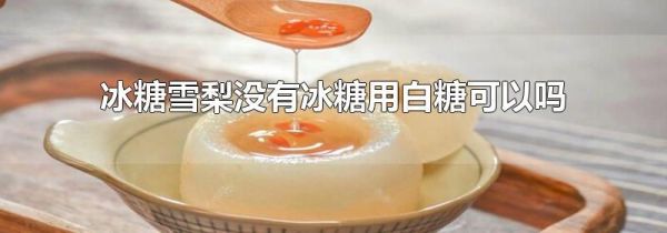 冰糖雪梨没有冰糖用白糖可以吗