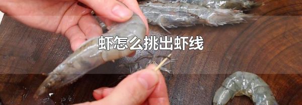 虾怎么挑出虾线