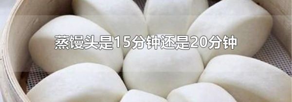 蒸馒头是15分钟还是20分钟