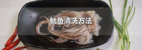 鱿鱼清洗方法
