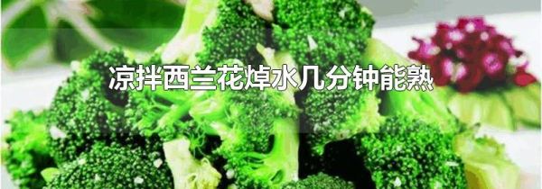 凉拌西兰花焯水几分钟能熟