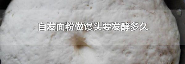 自发面粉做馒头要发酵多久