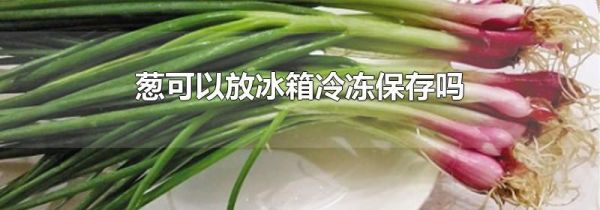 葱可以放冰箱冷冻保存吗