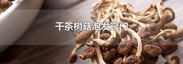 干茶树菇泡发窍门