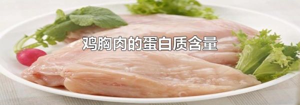 鸡胸肉的蛋白质含量