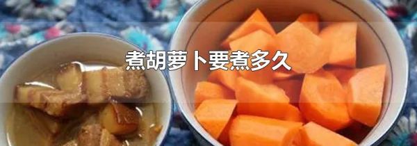 煮胡萝卜要煮多久