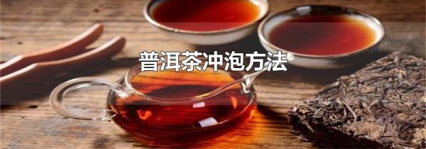 普洱茶冲泡方法