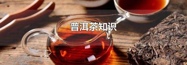 普洱茶知识