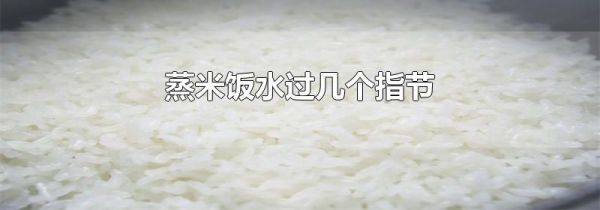 蒸米饭水过几个指节