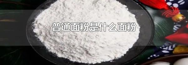 普通面粉是什么面粉