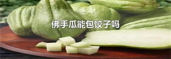 佛手瓜能包饺子吗