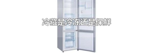 冷藏是冷冻还是保鲜