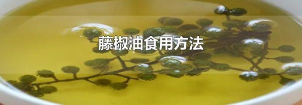 藤椒油食用方法