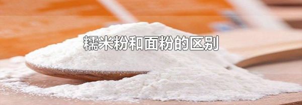 糯米粉和面粉的区别