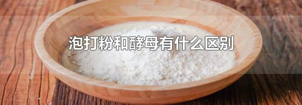 泡打粉和酵母有什么区别