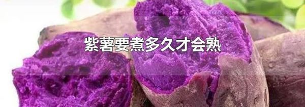 紫薯要煮多久才会熟