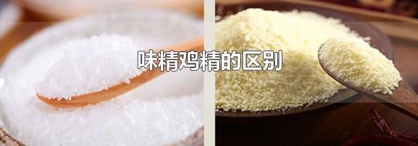 味精鸡精的区别