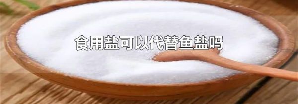 食用盐可以代替鱼盐吗