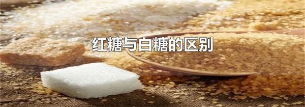 红糖与白糖的区别