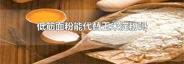 低筋面粉能代替玉米淀粉吗