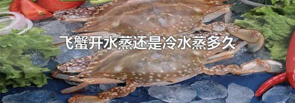 飞蟹开水蒸还是冷水蒸多久