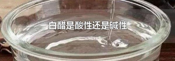 白醋是酸性还是碱性