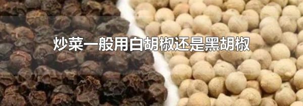 炒菜一般用白胡椒还是黑胡椒