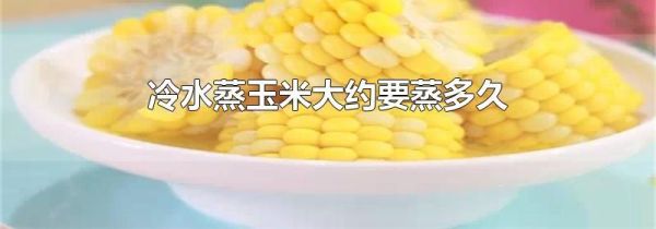 冷水蒸玉米大约要蒸多久