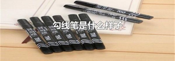勾线笔是什么样子