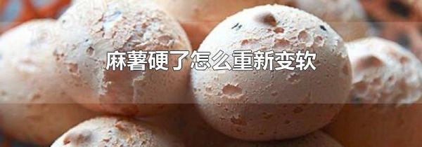 麻薯硬了怎么重新变软