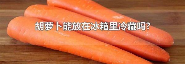 胡萝卜能放在冰箱里冷藏吗?