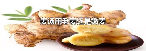 姜汤用老姜还是嫩姜