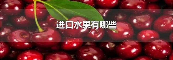 进口水果有哪些