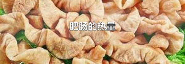 肥肠的热量