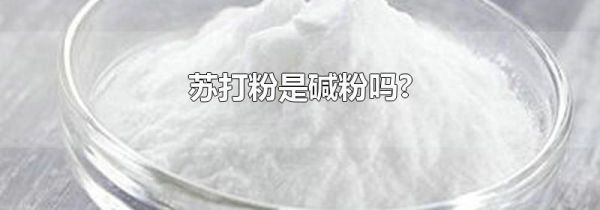 苏打粉是碱粉吗?