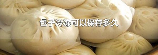 包子冷冻可以保存多久