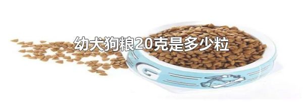 幼犬狗粮20克是多少粒