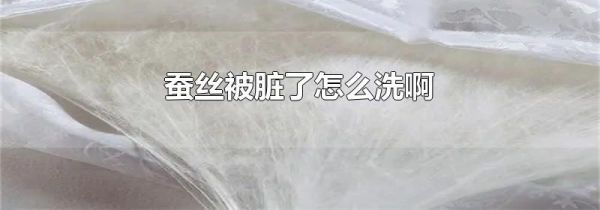 蚕丝被脏了怎么洗啊