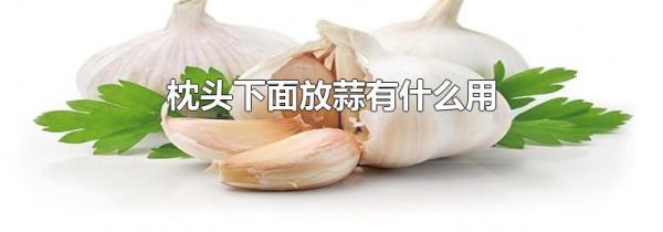 枕头下面放蒜有什么用