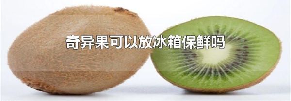 奇异果可以放冰箱保鲜吗