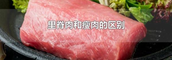 里脊肉和瘦肉的区别