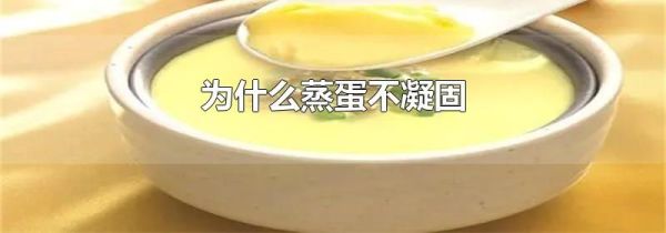 为什么蒸蛋不凝固