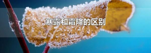 寒露和霜降的区别