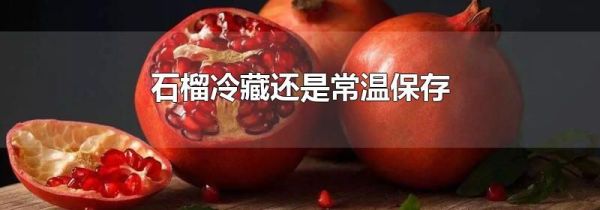 石榴冷藏还是常温保存