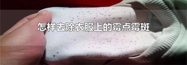 怎样去除衣服上的霉点霉斑