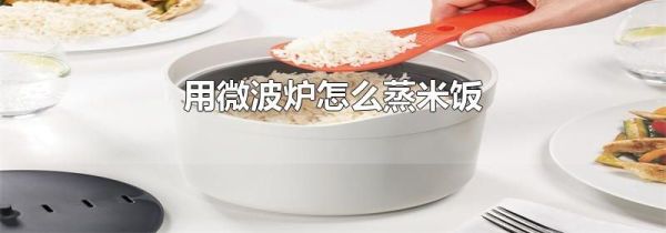 用微波炉怎么蒸米饭