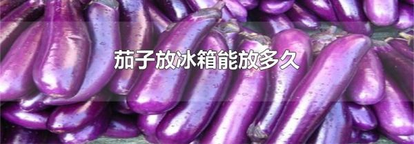 茄子放冰箱能放多久