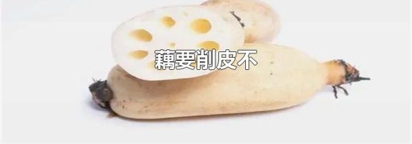 藕要削皮不