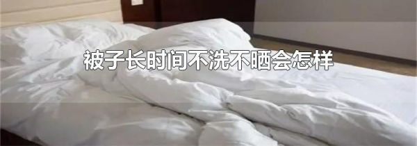 被子长时间不洗不晒会怎样